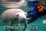 Crystal River Florida Manatee Tour