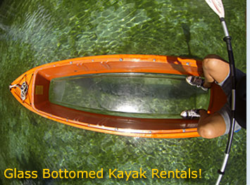 Glass Bottomed Kayak Rentals