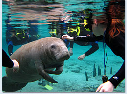 Crystal River Group Tour