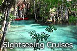 Crystal River Florida Sightseeing Tour