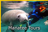 Florida Manatee Tours