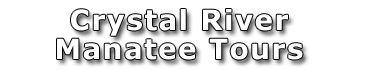 Index Title