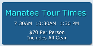 Matatee Tour Time Schedule